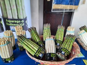 Mostra asparago di Badoere 2023