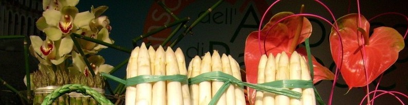 asparago bianco I.G.P di Badoere